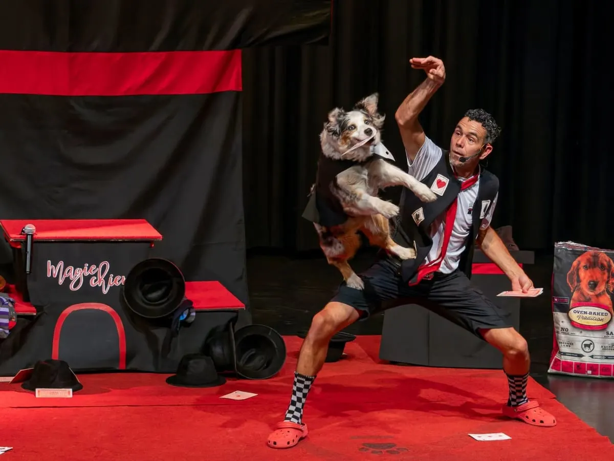 Yan magicien et chien