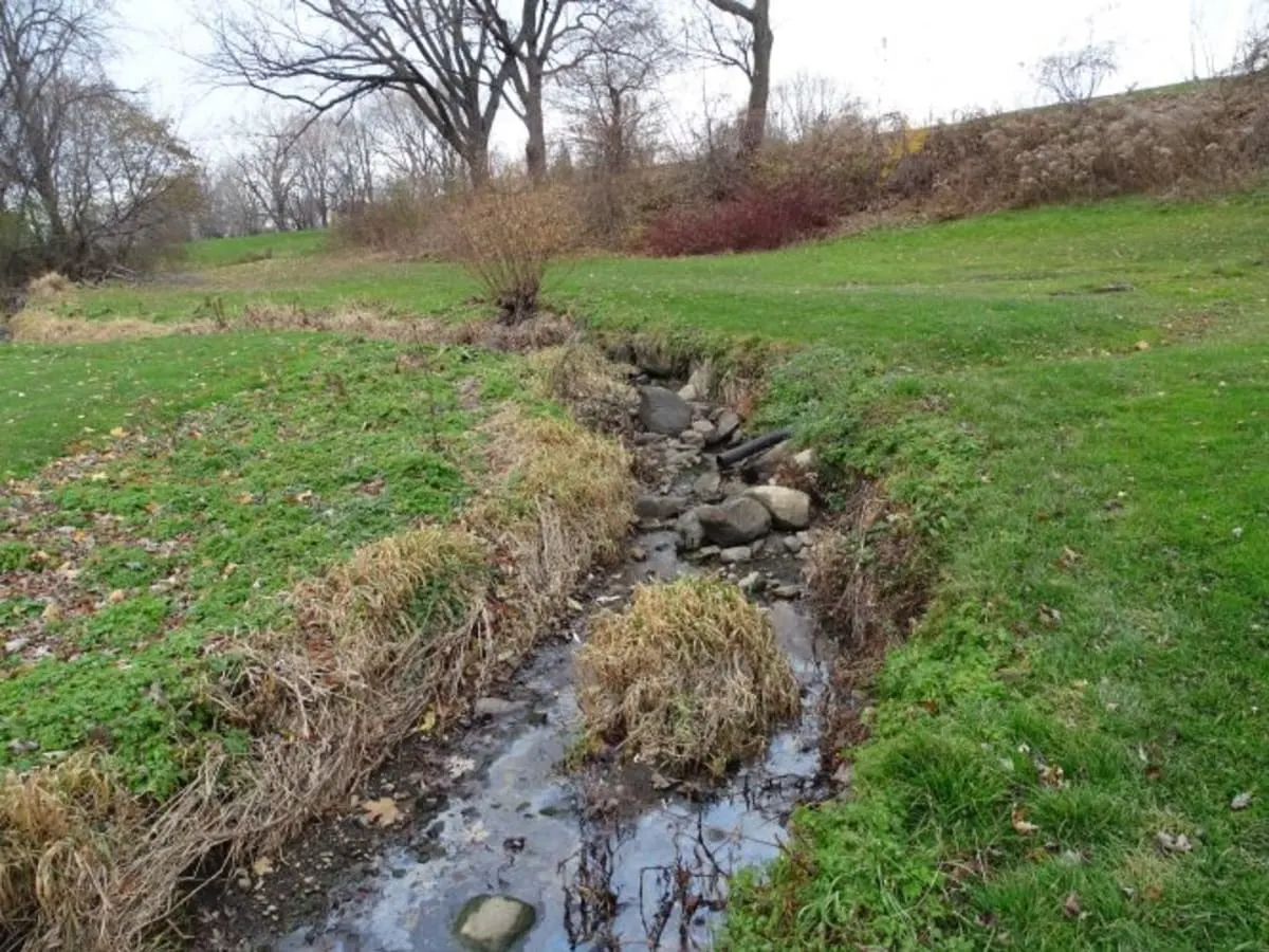 La rivière Saint-Pierre, réduite à la taille d'un ruisseau, qui coule au milieu d'une prairie