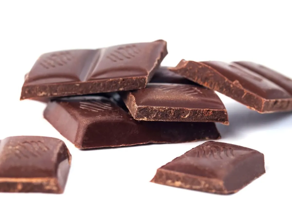 À la découverte du chocolat : histoire, saveurs et dégustation