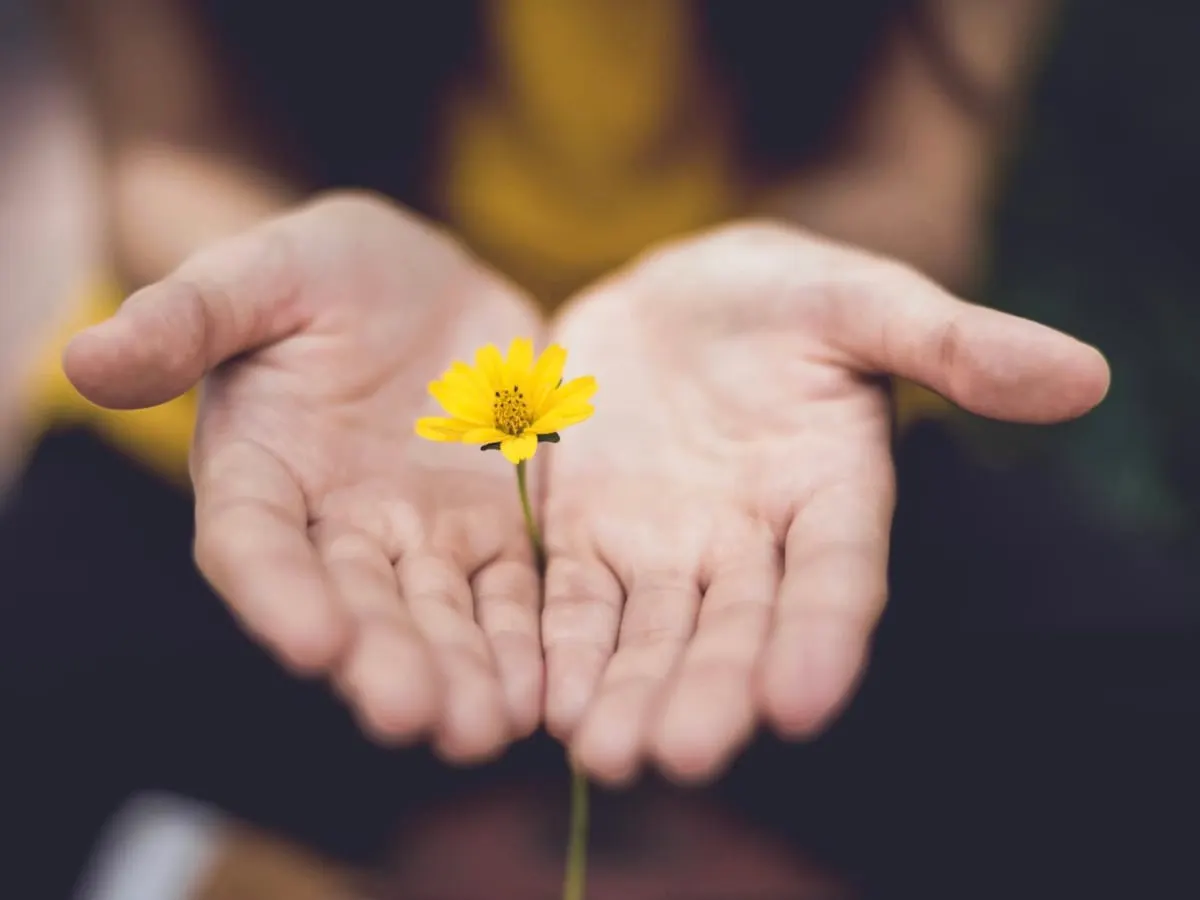 Photo dépeignant les mains d’une personne qui tend une fleur jaune vers la caméra.